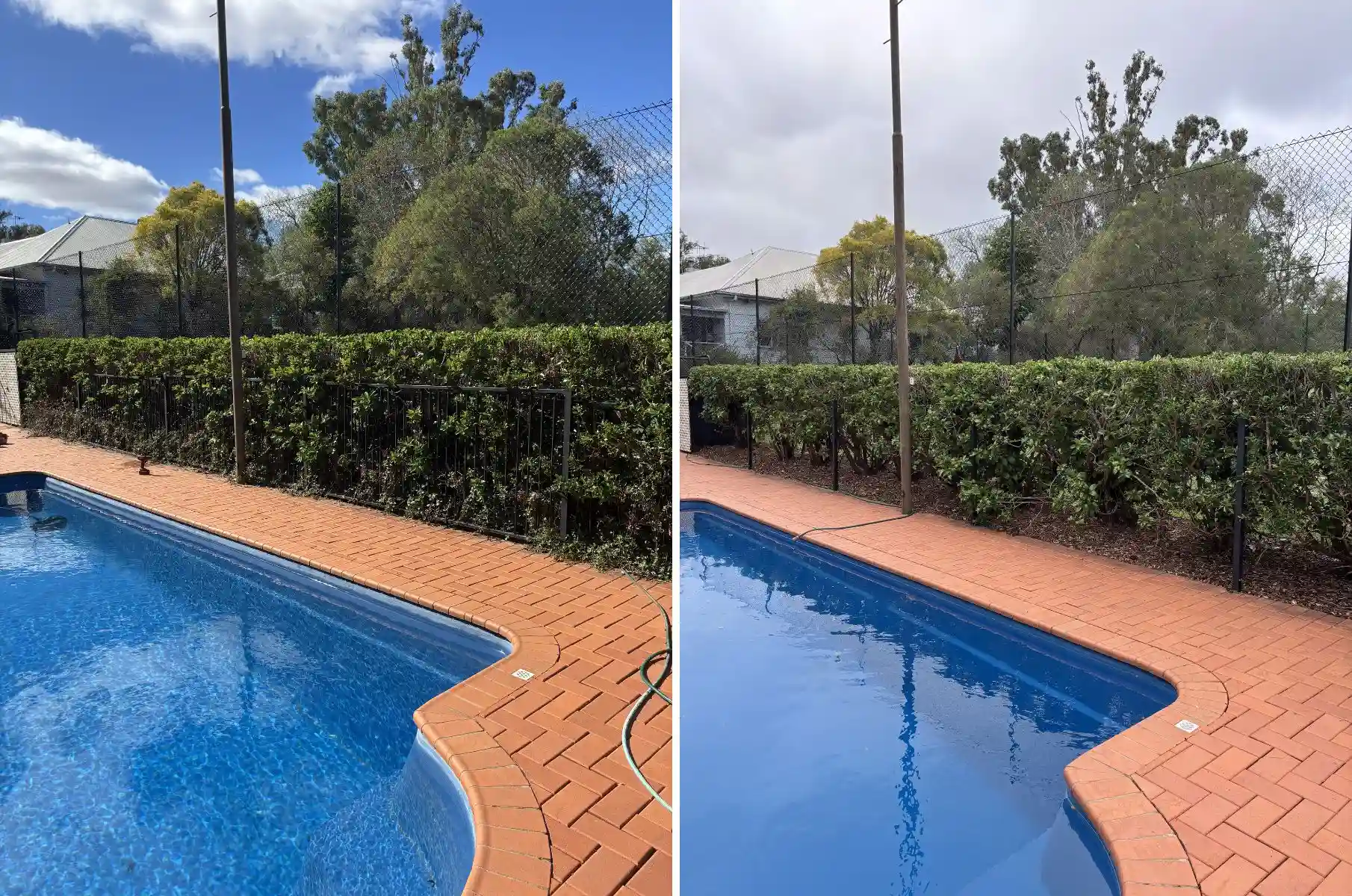 before and after twenty years of periwinkle and weed growth cleared from under hedges along pool fence with mulch laid in Dubbo NSW