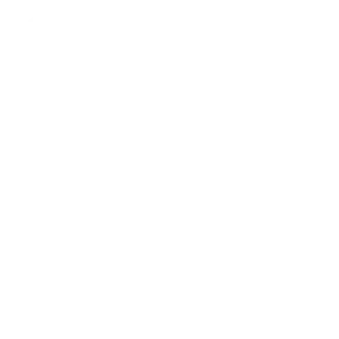 Phone Icon - White