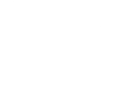 Email Icon - White