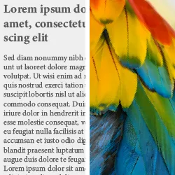 Maquila en impresión de alto volumen 