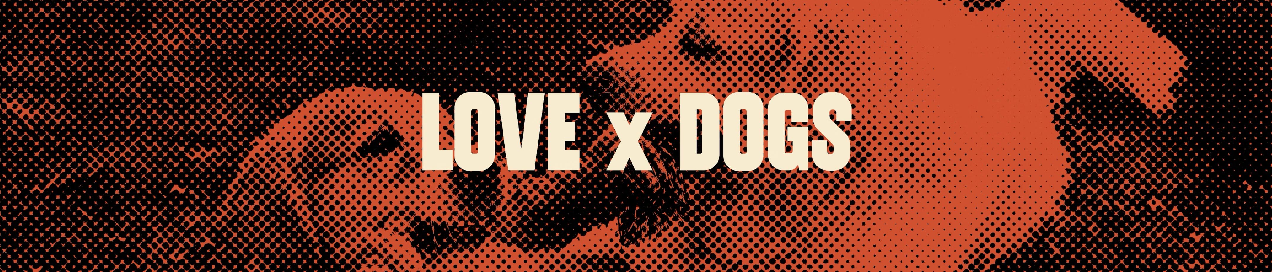 image of a pet training demonstration