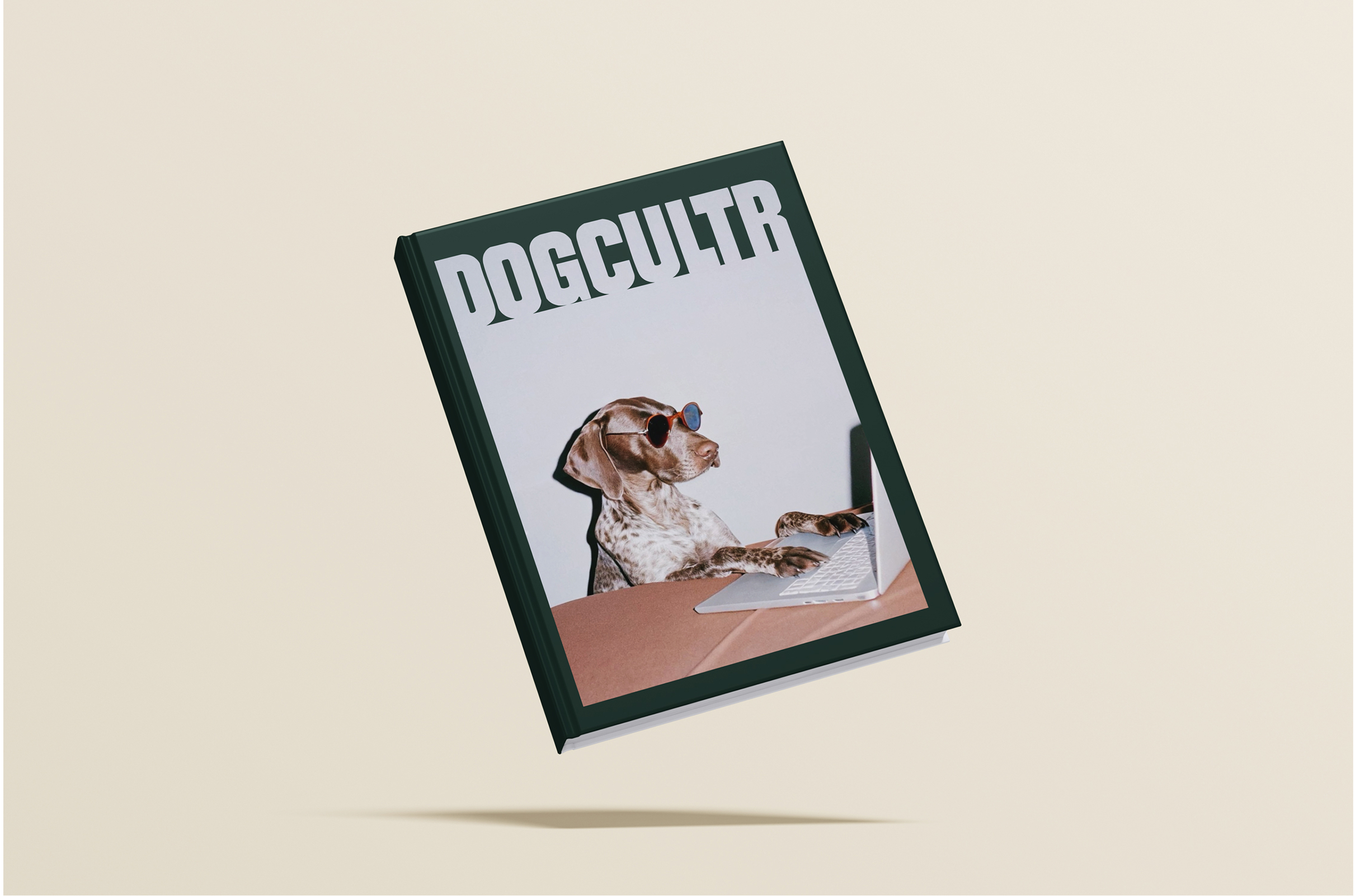 image of popular dog toy products for a pet store