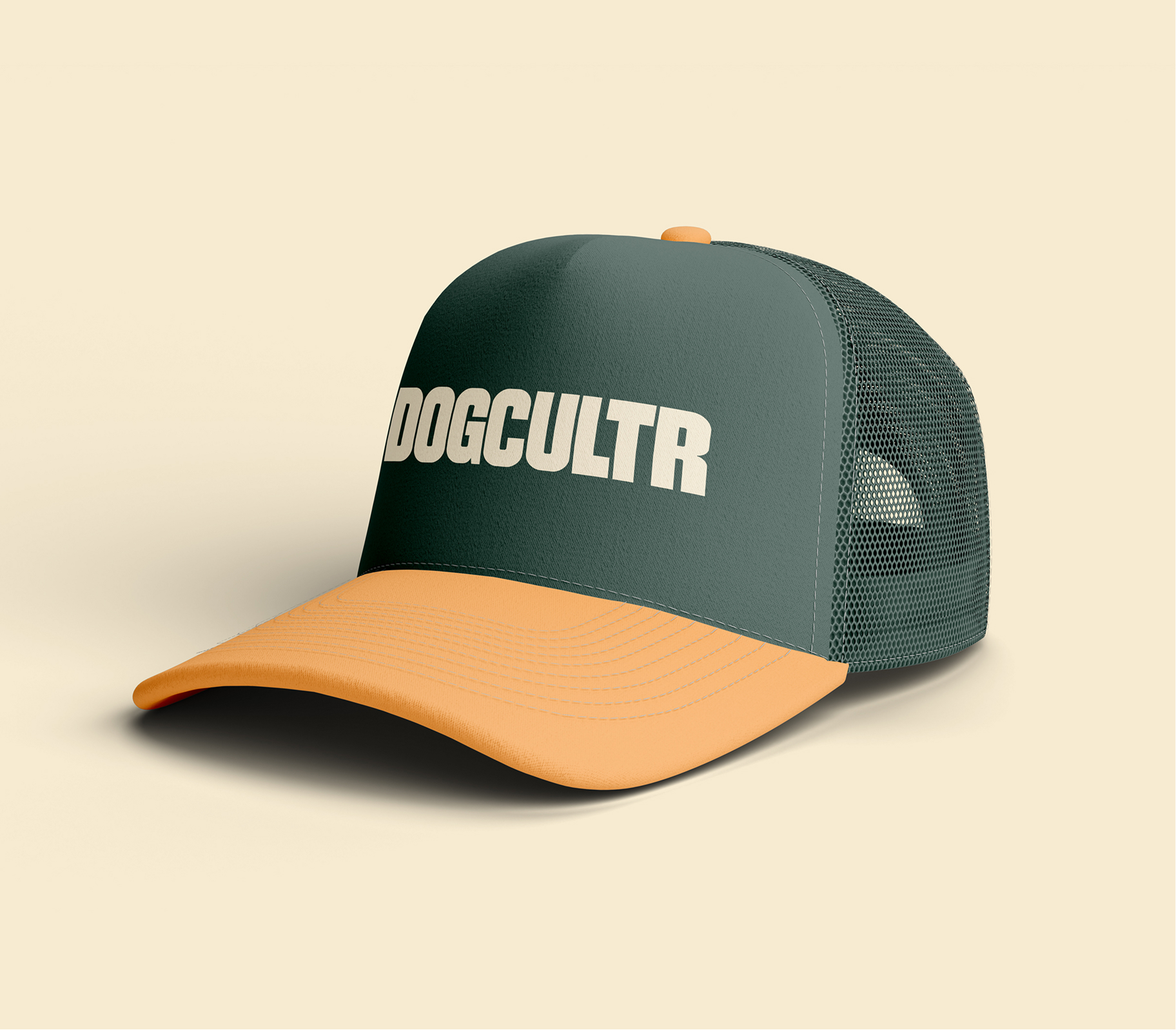 image of a pet training demonstration