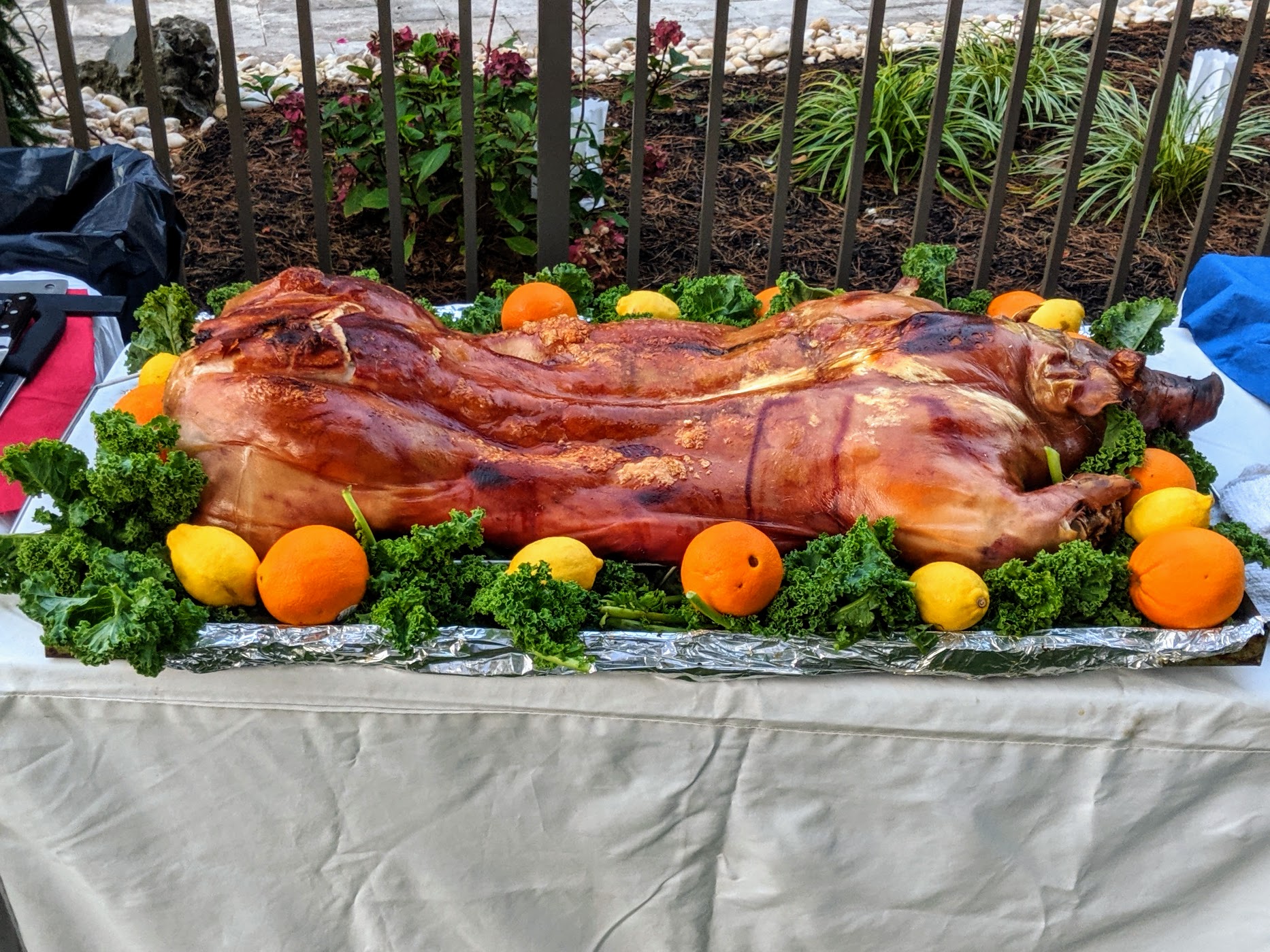 Fully cooked whole pig prepared in Caja China