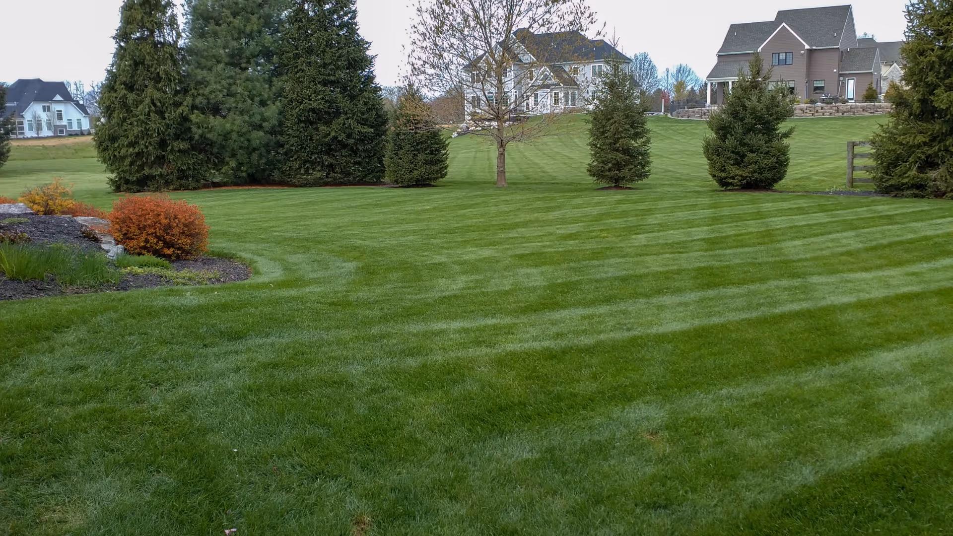 Well-maintained lush green lawn with striped mowing patterns, surrounded by trees and shrubbery, and houses in the background.