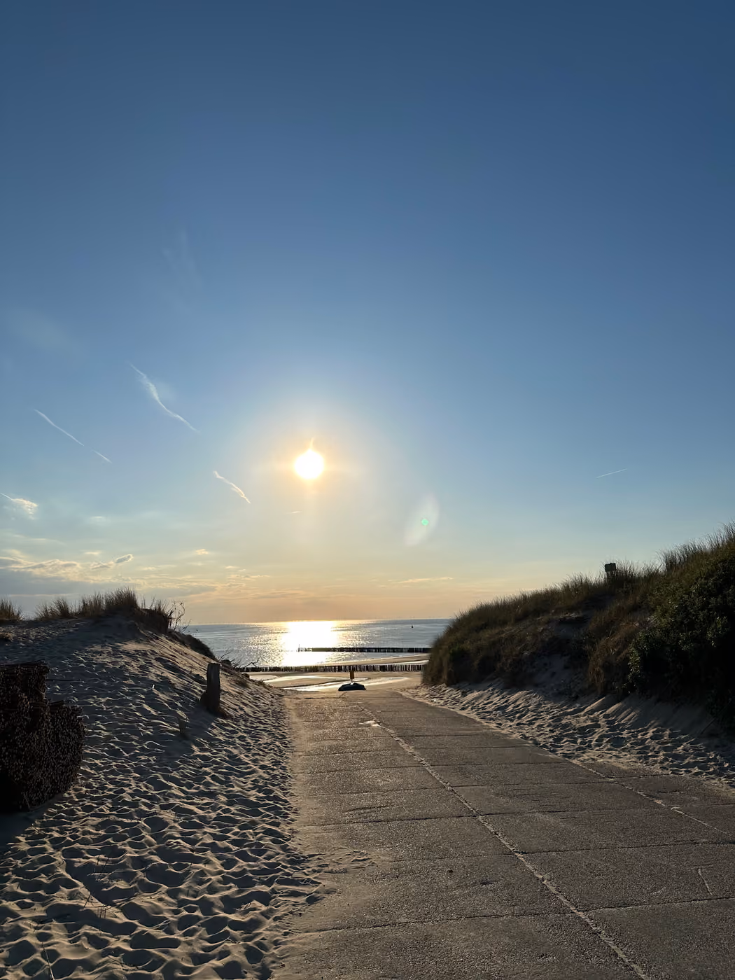 Weg durch die Dünen zu einem Strand in Zeeland im Abendlicht