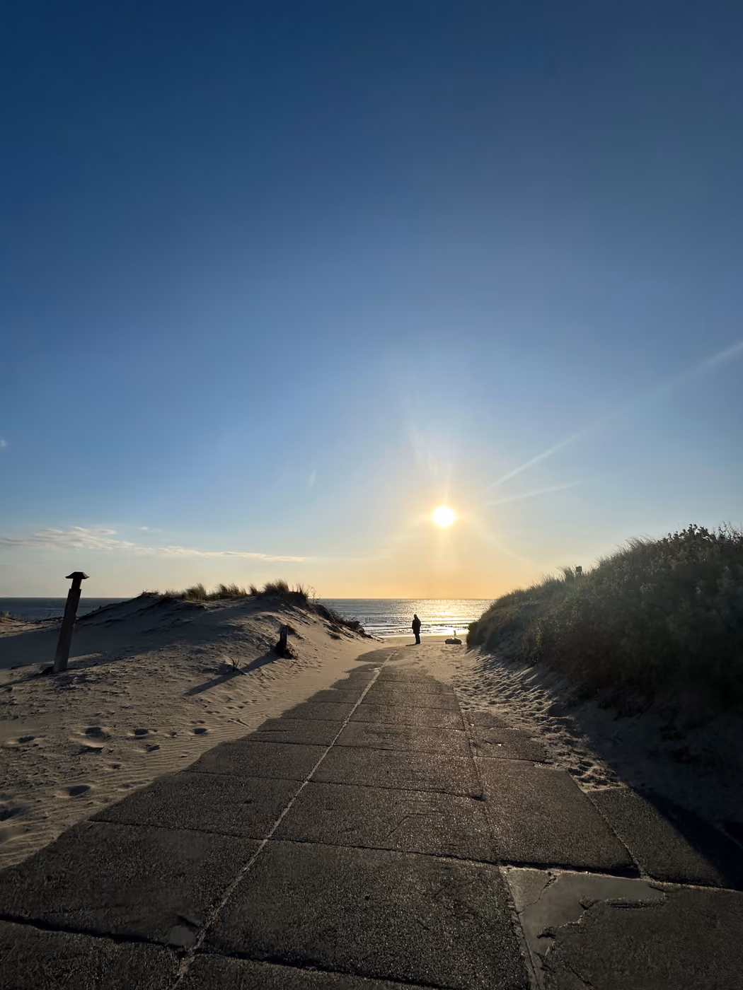 Fußweg durch die Dünen zum Strand von Westkapelle