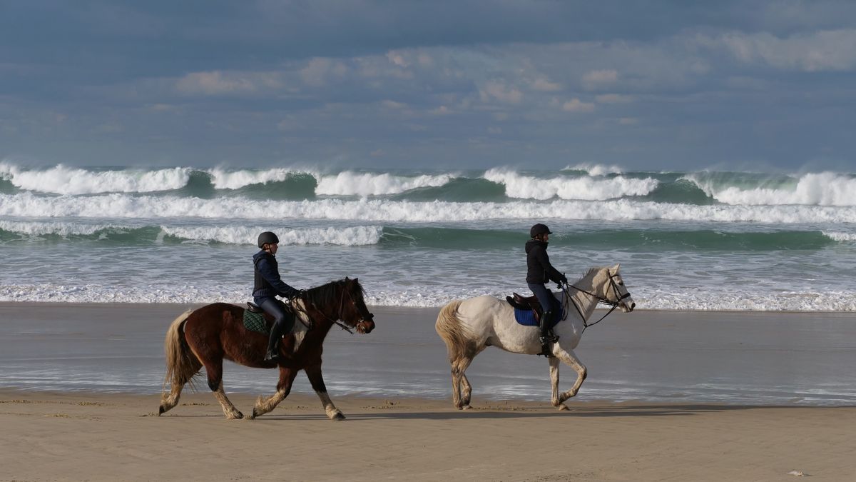 Reiter am Sandstrand als Symbolbild für Strandritte in Zeeland