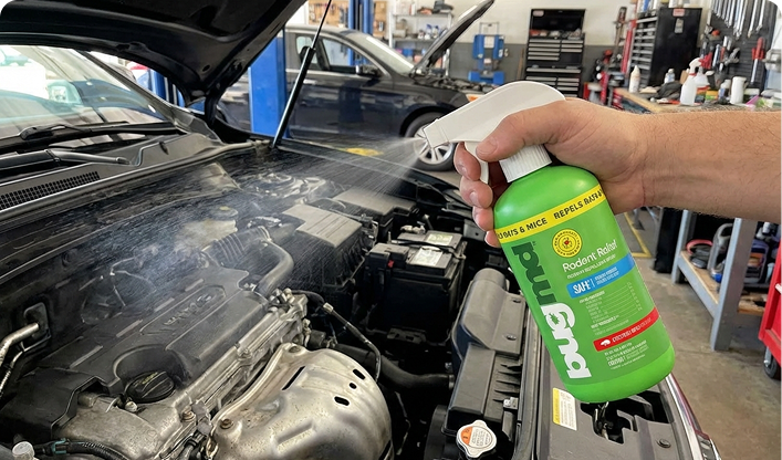 Yacht Charter Bodrum gallery image 3, Bodrum.