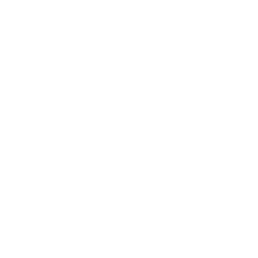 Jay Bhaumik Plano - Entrepreneurial Leadership