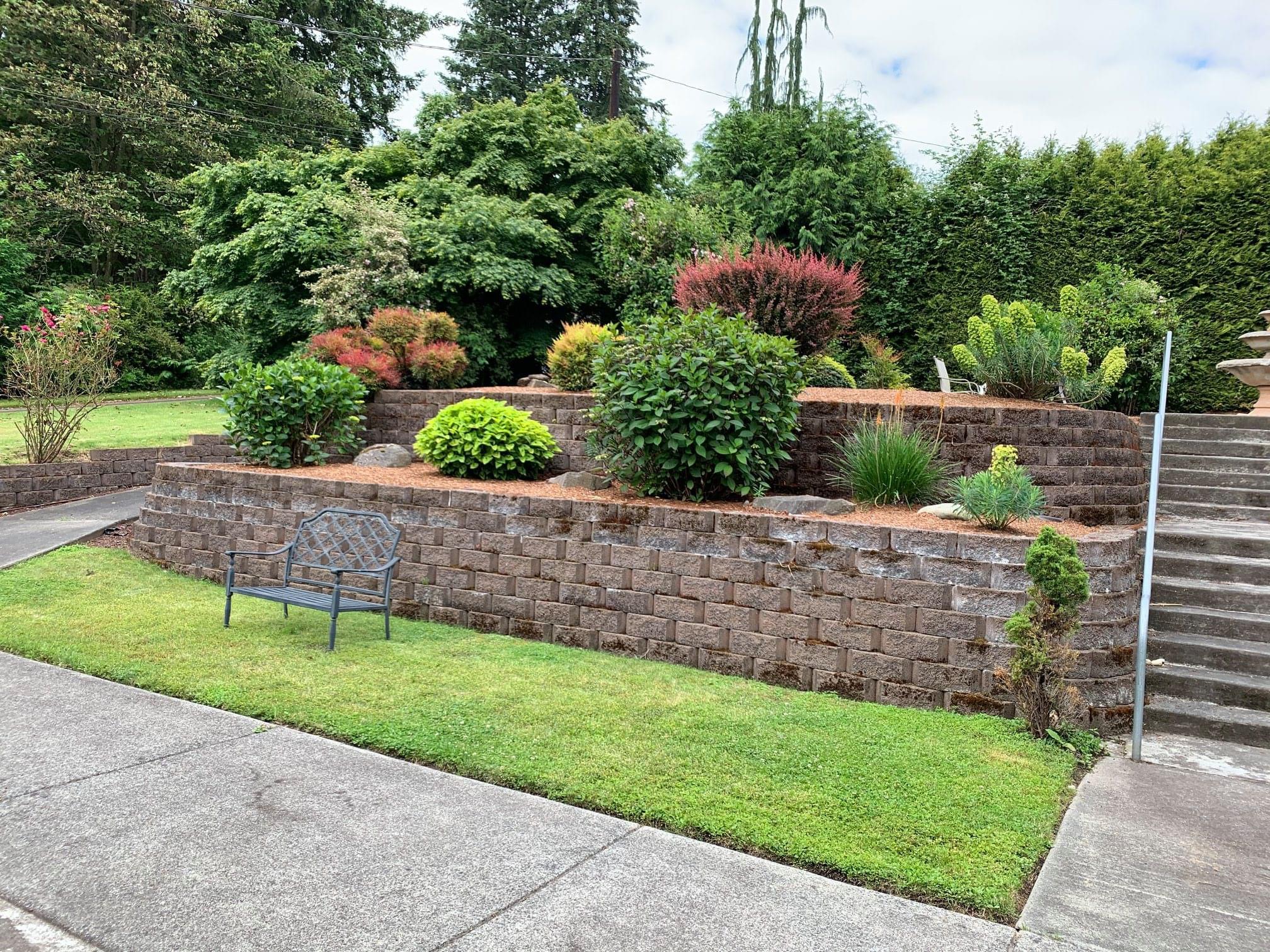 Tiered garden with various shrubs and bushes behind a brick retaining wall with a metal bench on the grass beside a concrete sidewalk and stairs.