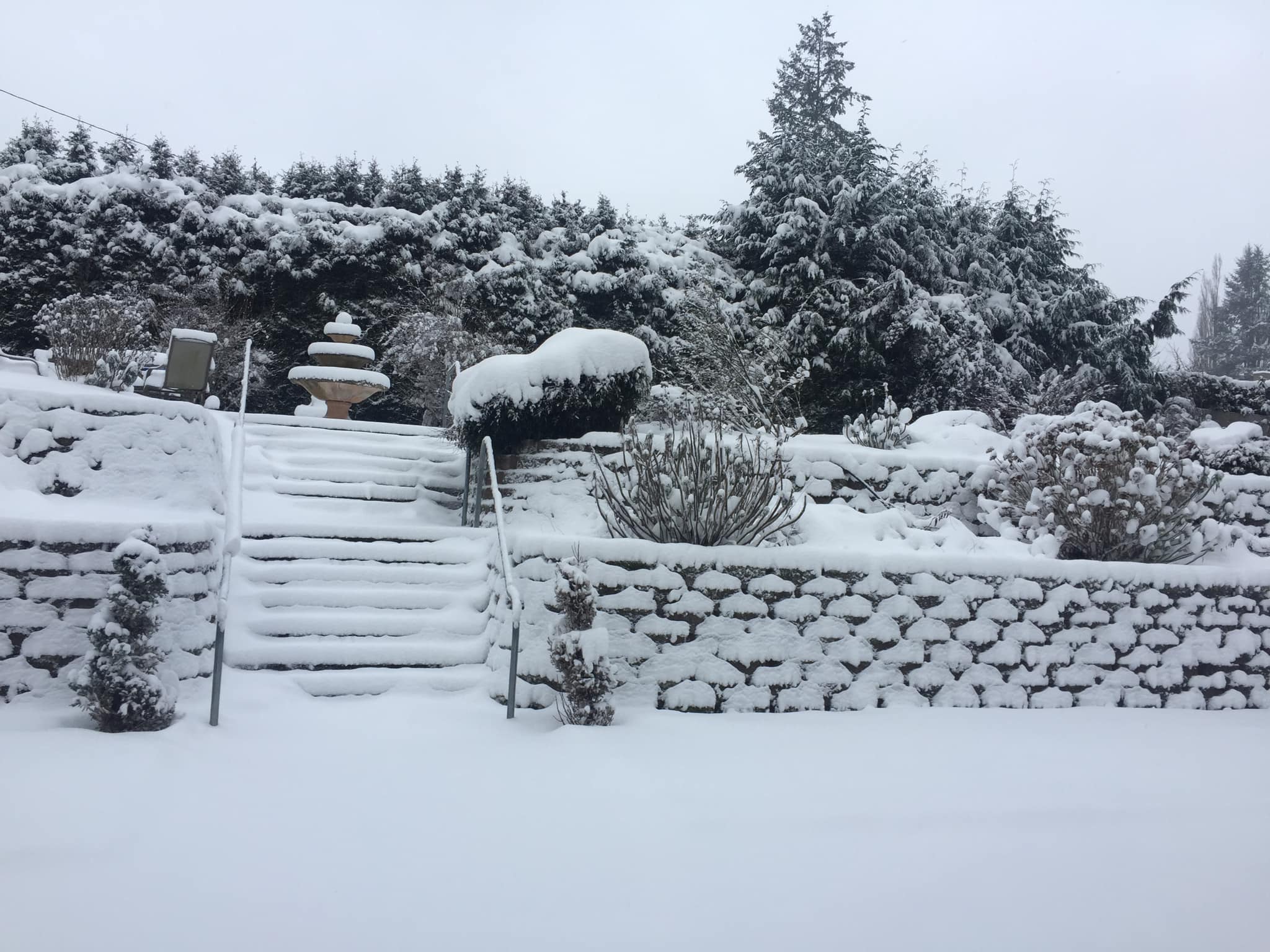 Snow-covered backyard with stone steps, railings, bushes, a fountain, and tall evergreen trees in winter.