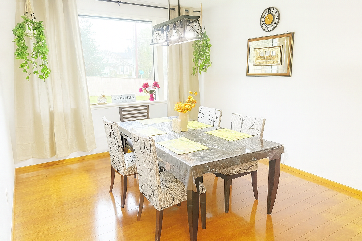 Bright dining room with a dark wooden table covered with a plastic tablecloth, six patterned chairs, a hanging light fixture, two hanging green plants, and a large window with beige curtains.