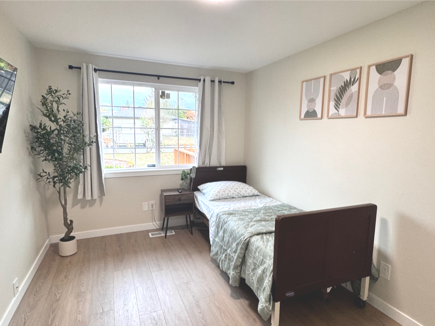 Minimalist bedroom with a single hospital-style bed, a wooden nightstand, a potted plant near a window with curtains, and three abstract framed artworks on the wall.