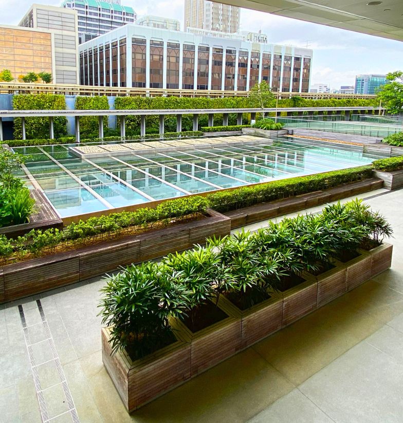 Rooftop reflection pools at the National Gallery, Singapore, featured on a bright sunny day surrounded by greenery.