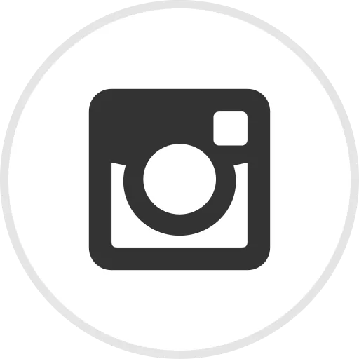 Instagram button icon