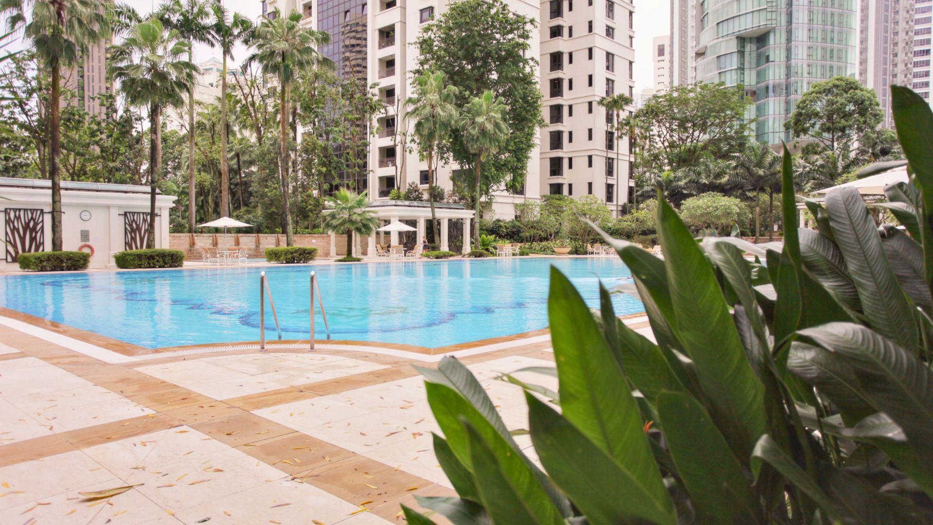 Diagonal view of the stainless steel swimming pool at Ardmore Park, Singapore, with grab rails leading down into the deep end. A pool deck and condominium blocks are in the distant background.