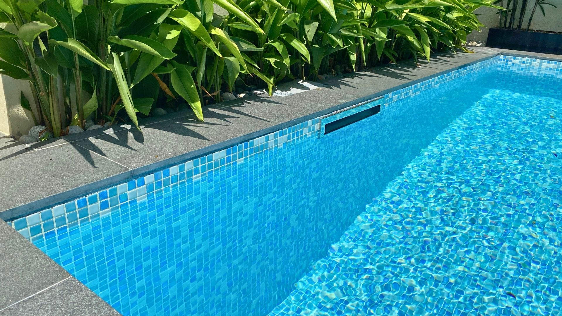 Close-up of the stainless steel skimmer box for in-ground swimming pool, built within the garden of a private landed home in Singapore. Spanish glass mosaic tiles line the walls of the pool, with plants lining the edge.