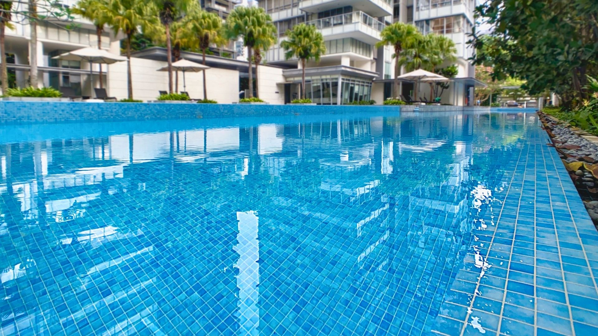Eye-level view of the swiming pool at Paterson Suites in Singapore. The condominium's blocks rise high in the background.