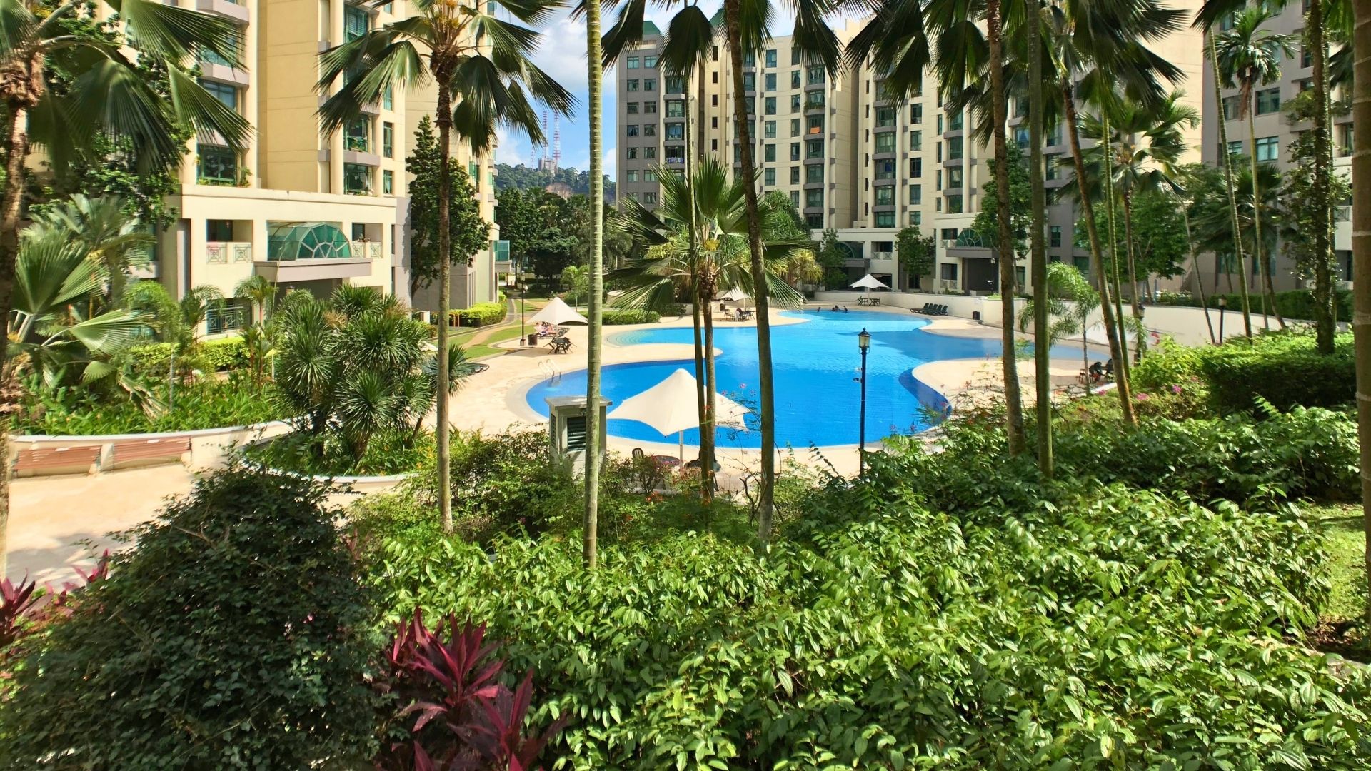 Panoramic view of the curvaceously-edged resort-style swimming pool at Signature Park condominium in Singapore. A spacious pool deck surrounds it, and tall condominium blocks overlook the pool.
