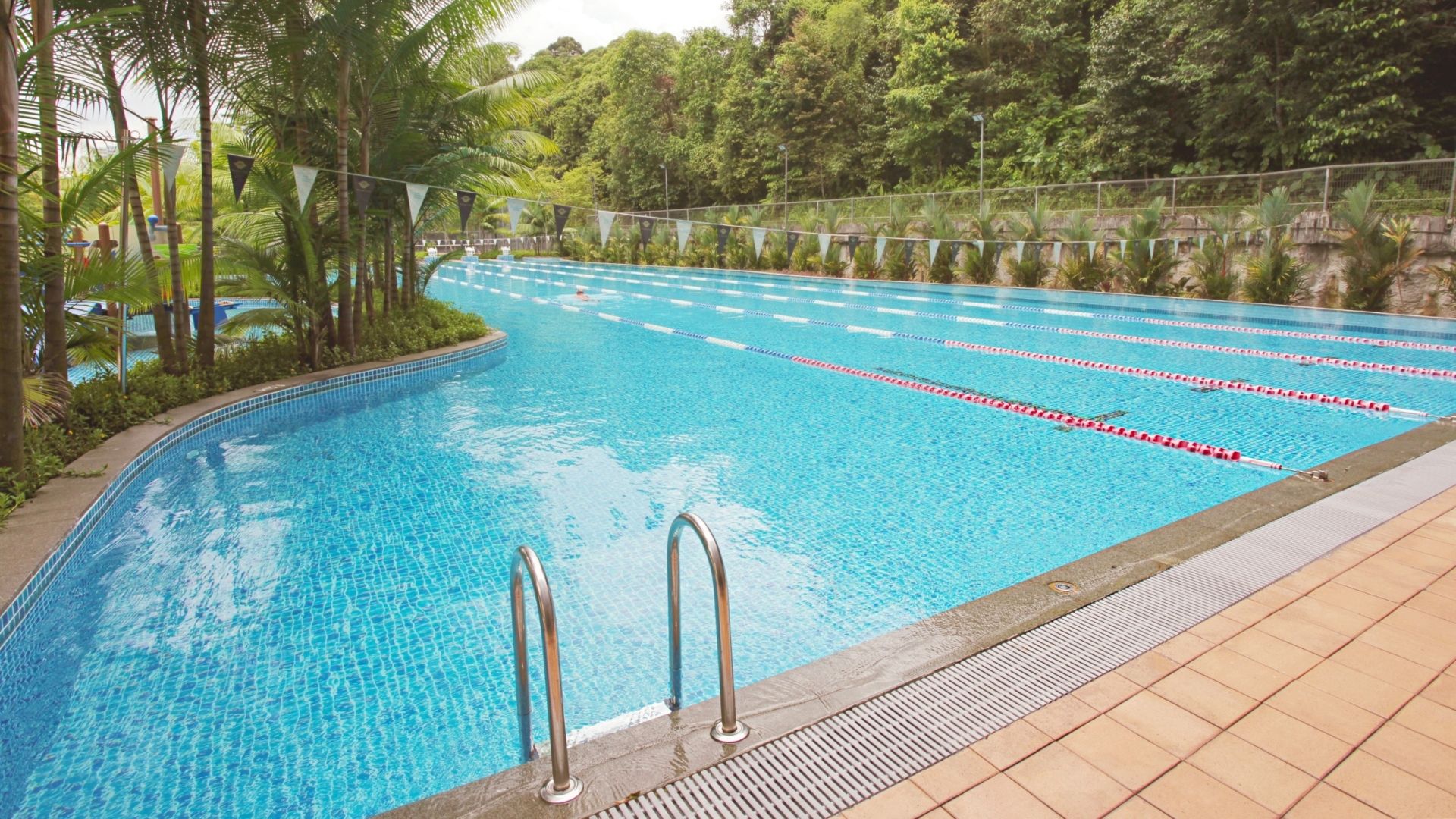 Side view of the newly-renoated main swimming pool at Temasek Club in SIngapore. A pool ladder leads into the waters, and pool accessories such as lane ropes and flags furnish the pool.