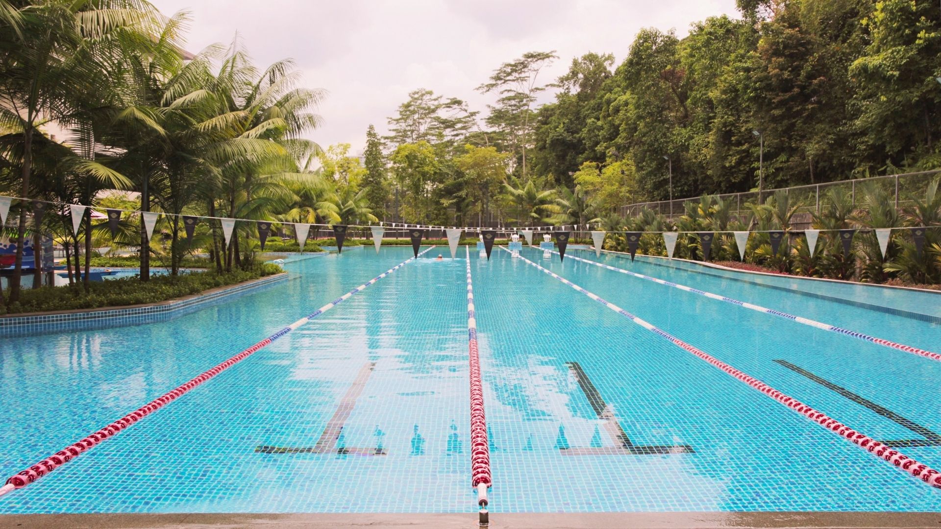 Forward-facing view of the 50-metre lap pool at Temasek Club, Singapore. The lanes are clearly divided with brightly-coloured pool ropes, and a string of pool flags hang above it. Lush greenery surrounds the area.