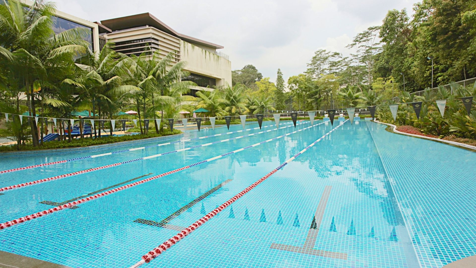 The renovated five-lane 50-metre lap pool at Temasek Club, Singapore. The swimming pool is surrounded by greenery, and the lanes are divided with pool ropes.