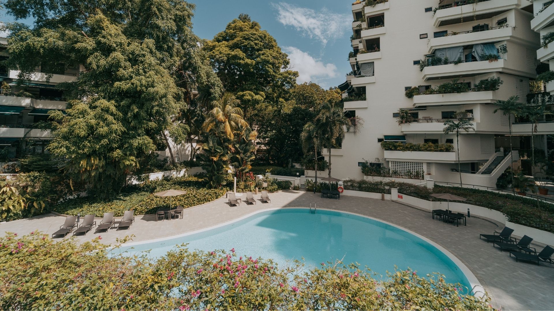 The curvaceous, resort-style swimming pool at The Arcadia in Singapore, set amid expansive greenery with generous communal spaces. The condominium's buildings are designed so that apartments do not face each other. A few blocks overlook the pool.