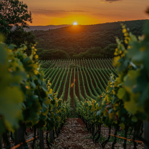 forage eau souterraine grand est