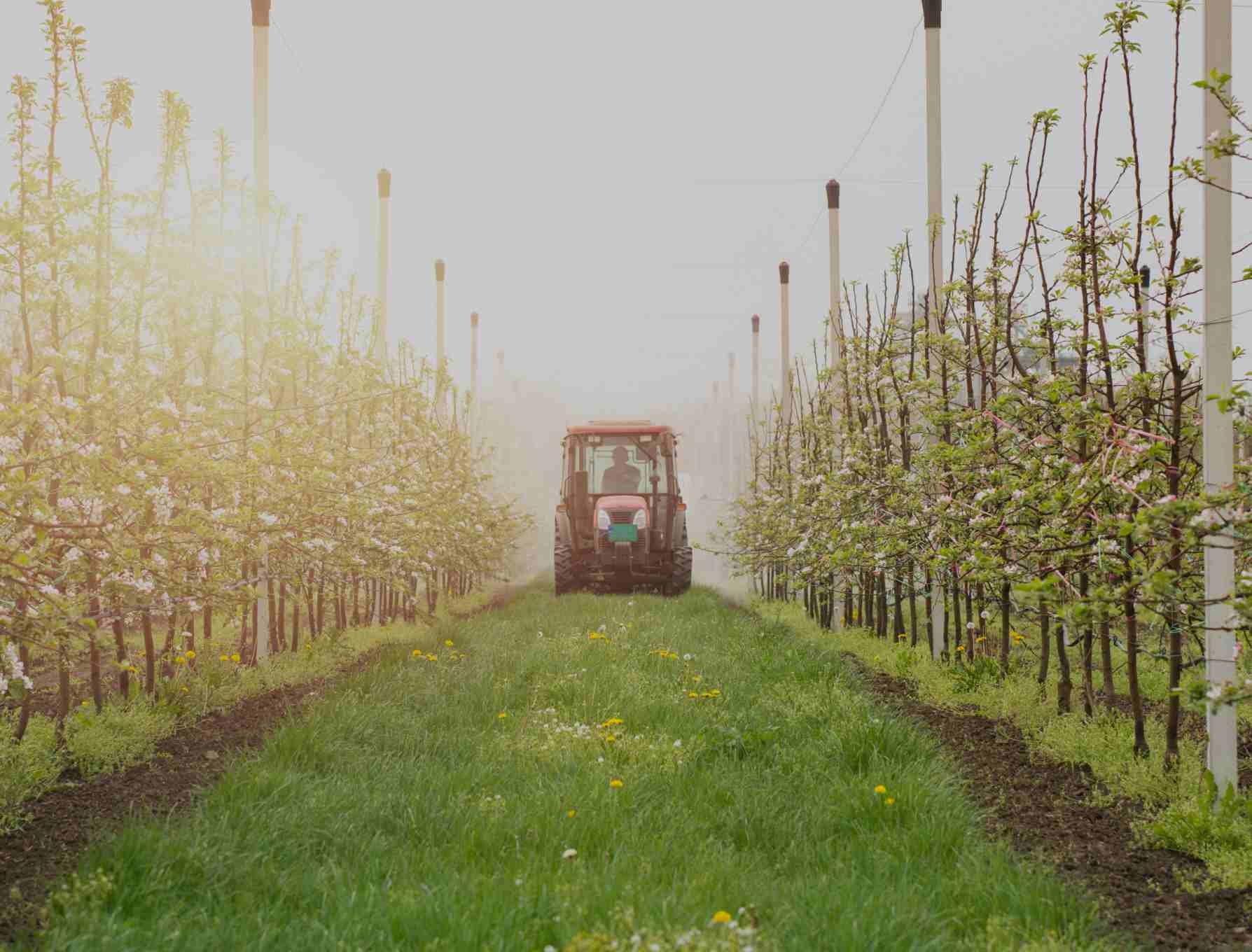 forage agricole et viticole