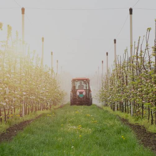 agriculteur viticulteur