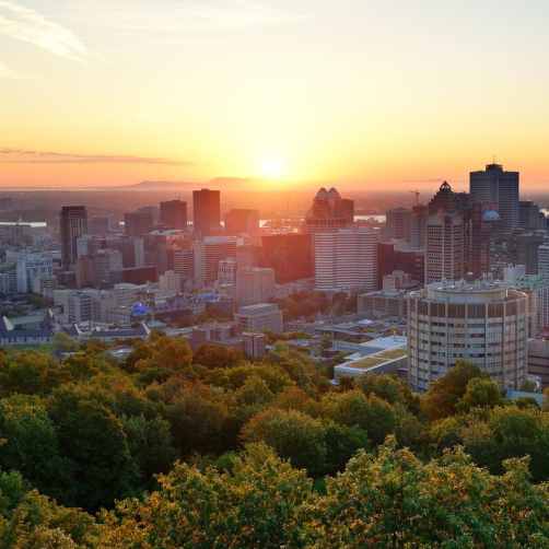 collectivité locale