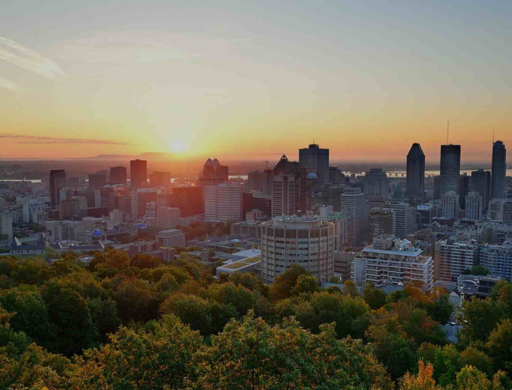 forage collectiivté locale