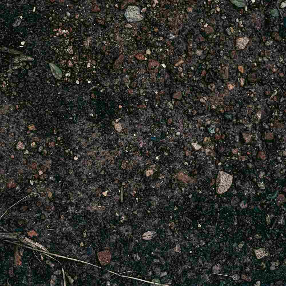 carrotage sol forage