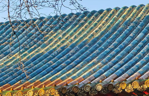 expertise-card-image