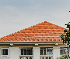 our-purpose-sm-image