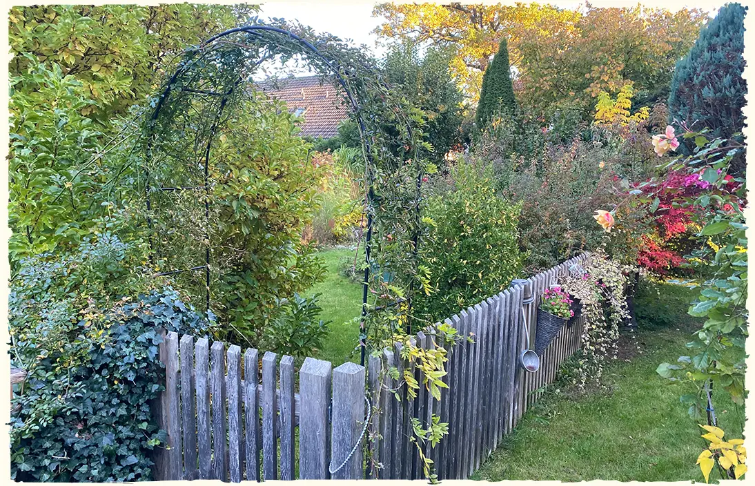 Holz-Gartenzaun mit von Kletterrosen bewachsenem Torbogen als Zugang zu einem wunderschön gestalteten Garten