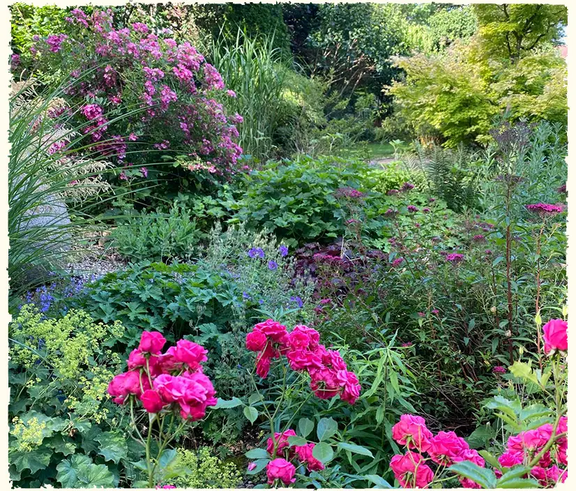 Üppige Blumen- und Blütenpracht in einem von Annette Burger gestalteten Beet