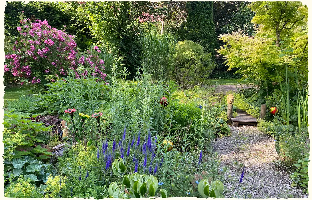 Naturkiesweg durch ein wunderschönes, wild anmutendes Gartenbeet mit viel Grün und lila- und rosafarbig blühenden Pflanzen