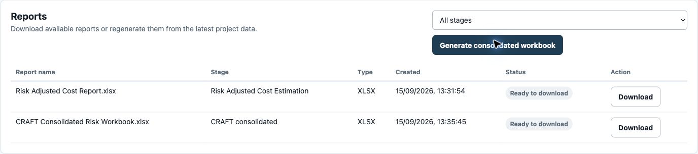 Risk Reports lists module outputs and the consolidated workbook.
