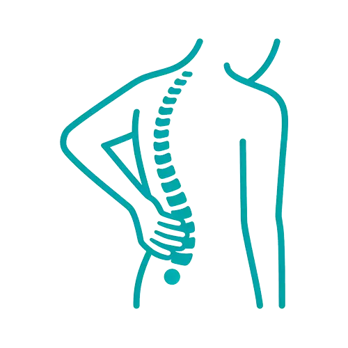 Spine alignment and back pain treatment illustration for Prime Wellness Chiropractic in Penshurst