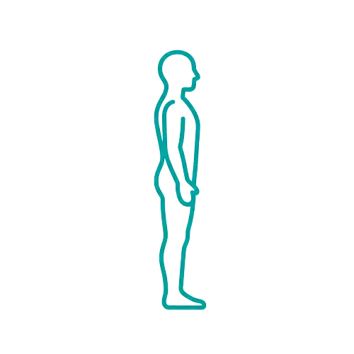 Spinal posture alignment illustration for posture correction at Prime Wellness Chiropractic in Penshurst NSW