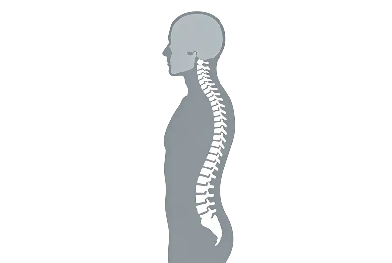 Postural correction and spinal alignment services at Prime Wellness Chiropractic in Penshurst NSW