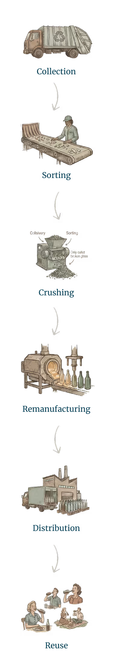Illustration of glass bottle recycling process showing stages: collection by truck, sorting on conveyor belt, crushing into cullet, remanufacturing into new bottles in a factory, distribution by truck, and reuse by people drinking from bottles.