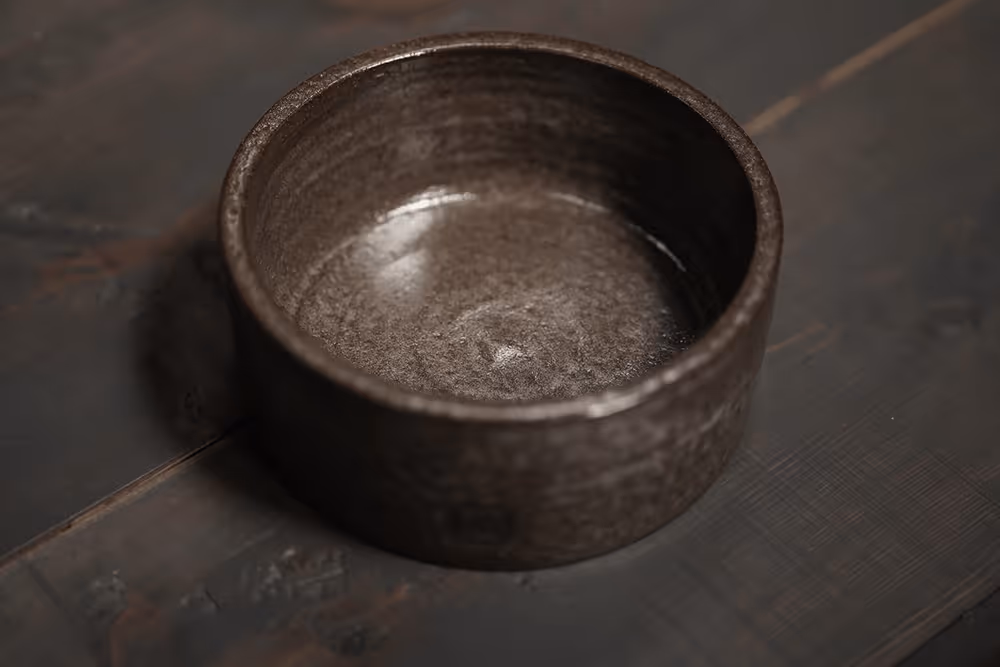 Ceramic food bowl side view