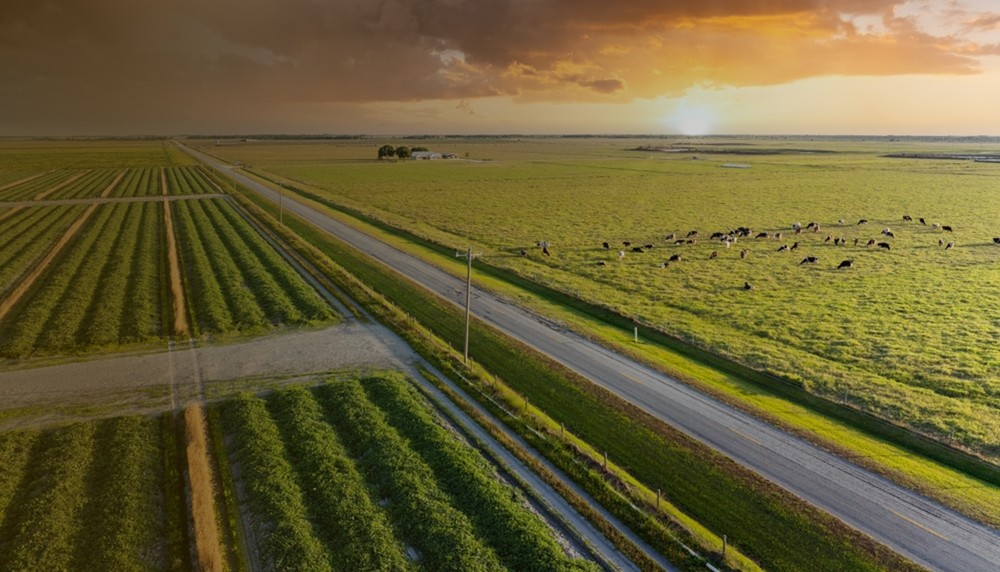 Background image fallback