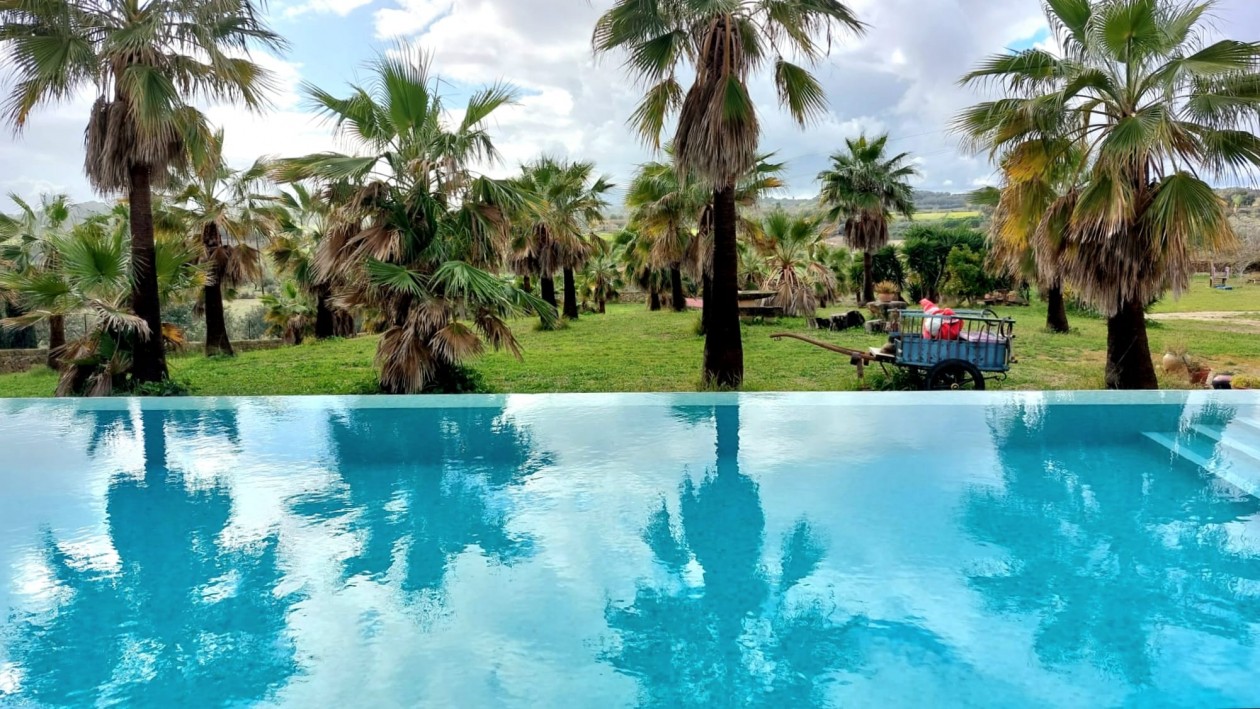 Unglaubliche Gelegenheit!!!!!