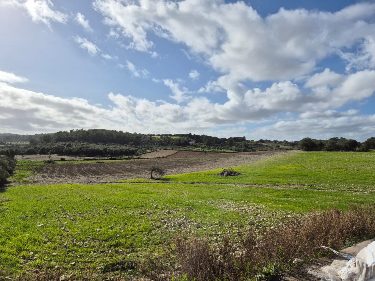 Landhaus mit großem Potenzial in Montuiri