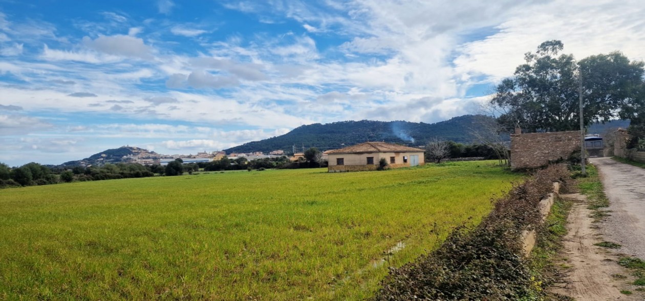 Zwei Grundstücke zum Verkauf für ein Bauprojekt.