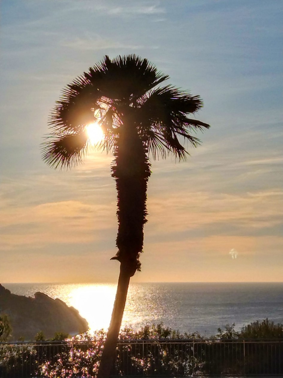 Grosszügige Wohnung mit Meerblick in Nova Santa Ponsa